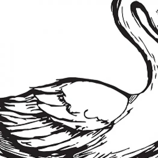 Swan Logo j