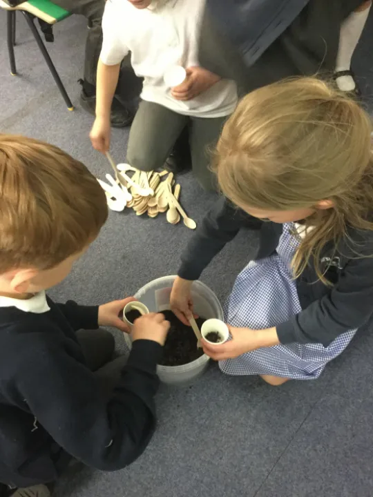 Planting 1