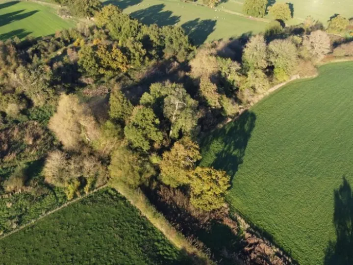 Drone 1