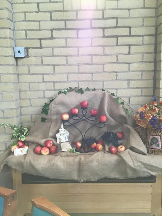 Harvest Apples