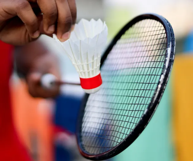 Badminton