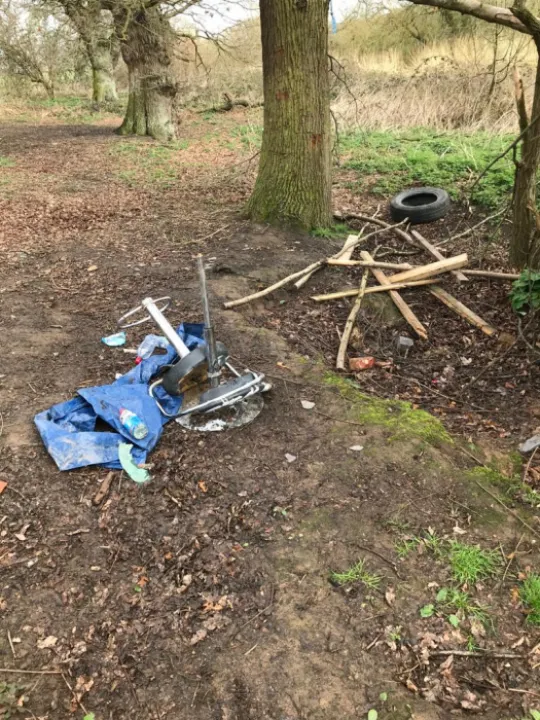 Litter 2