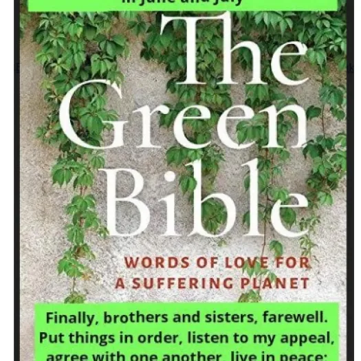 Green Bible Study June and July 2023