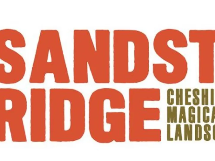 Sandstone Ridge logo