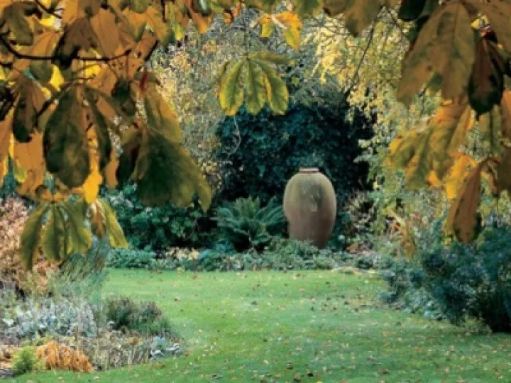 Turn End Autumn
