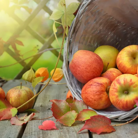 apples-g632f45aaf_1280