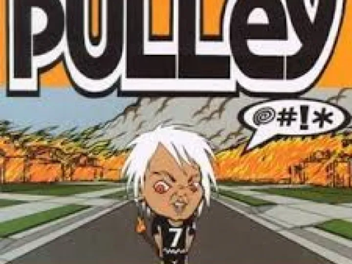 Pulley