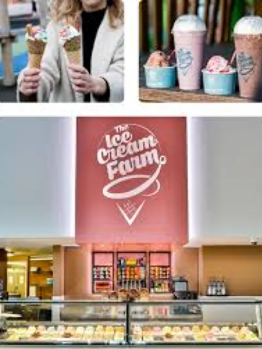 ice cream farm panel