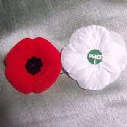 AMC poppies 2