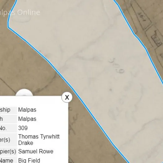 Hidden Field Names