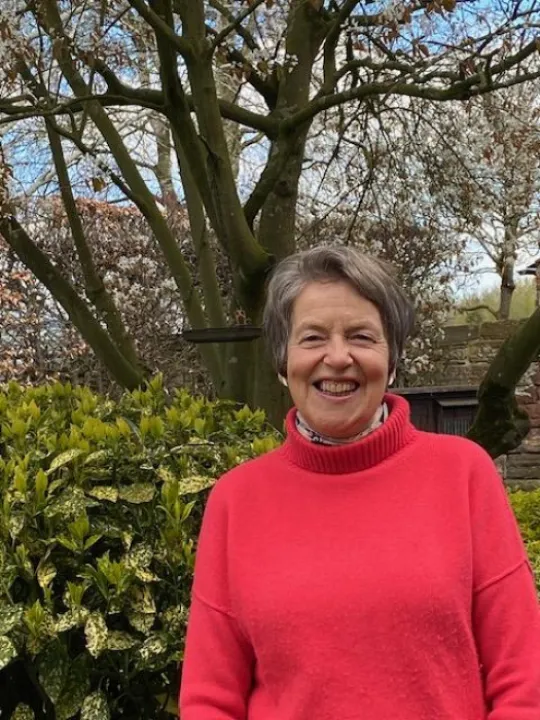 Susan Sellers DL