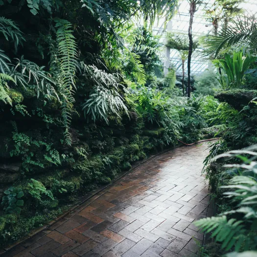 Brown Brick Garden Pathway