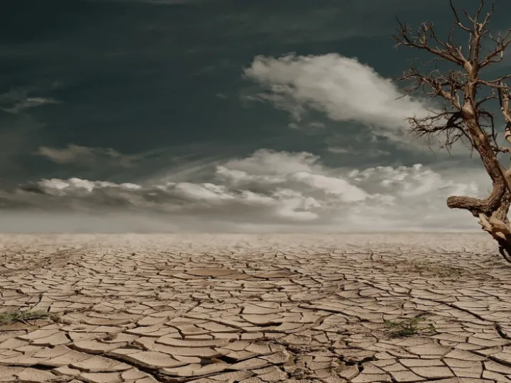 A barren landscape