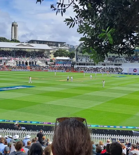 Wellington Test