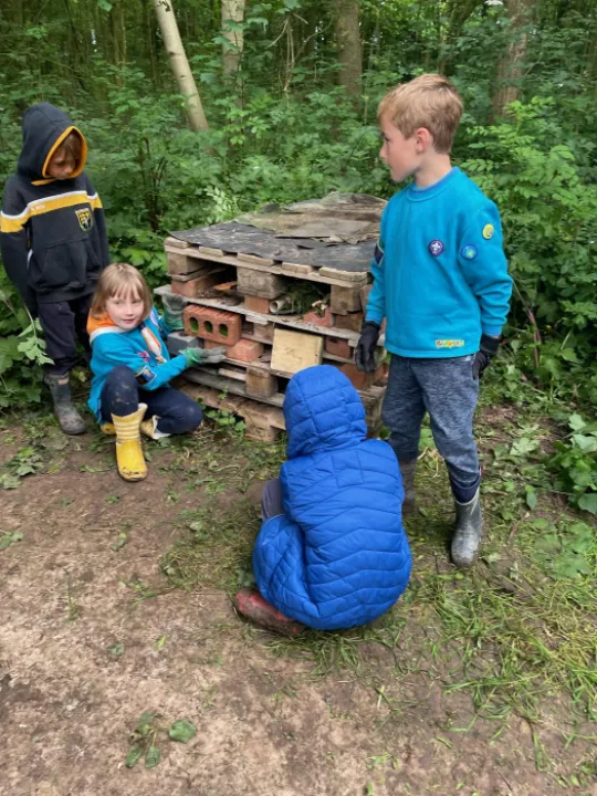 Bug houses