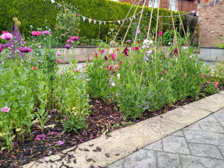 Bailgate MC Garden