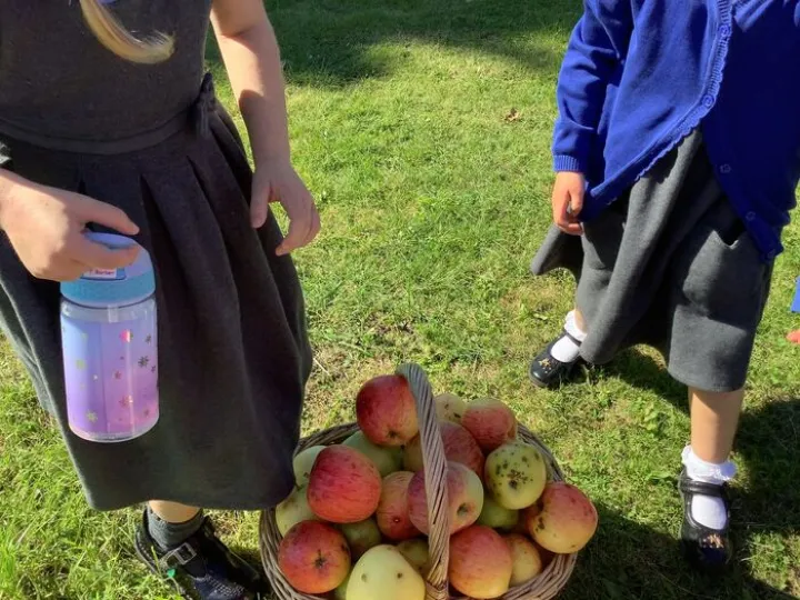 Apple picking