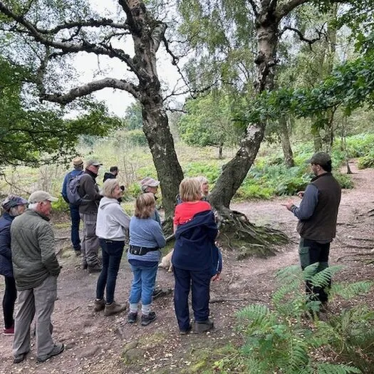 Bickerton 1