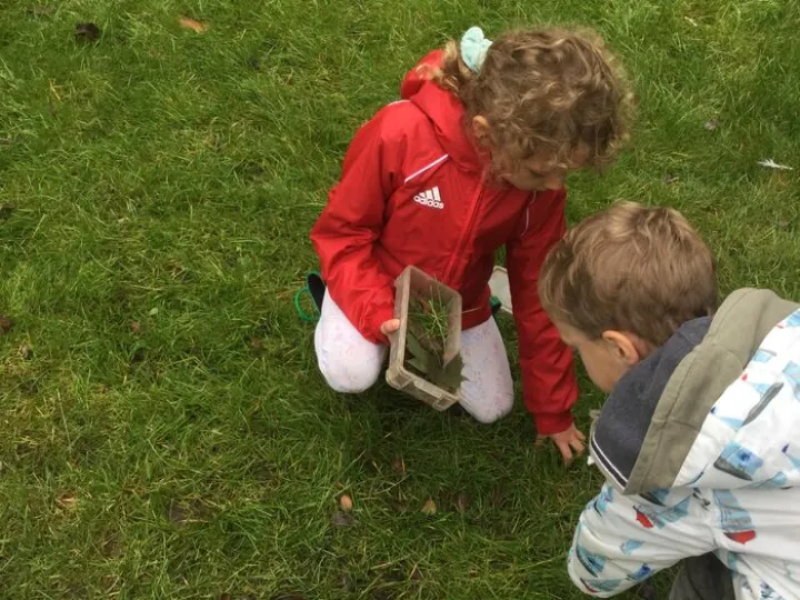 Bug hunting