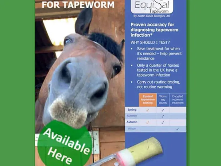 EquiSal