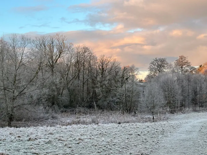 Turnpike Field On a Frosty Morning Thursday 9 Jan