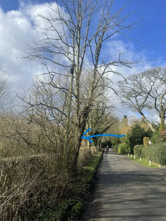 Limetreeto Fell