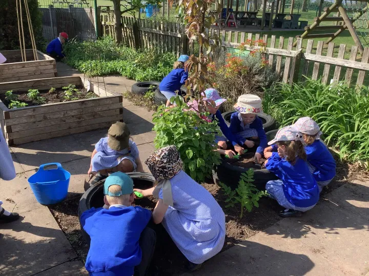 Gardening