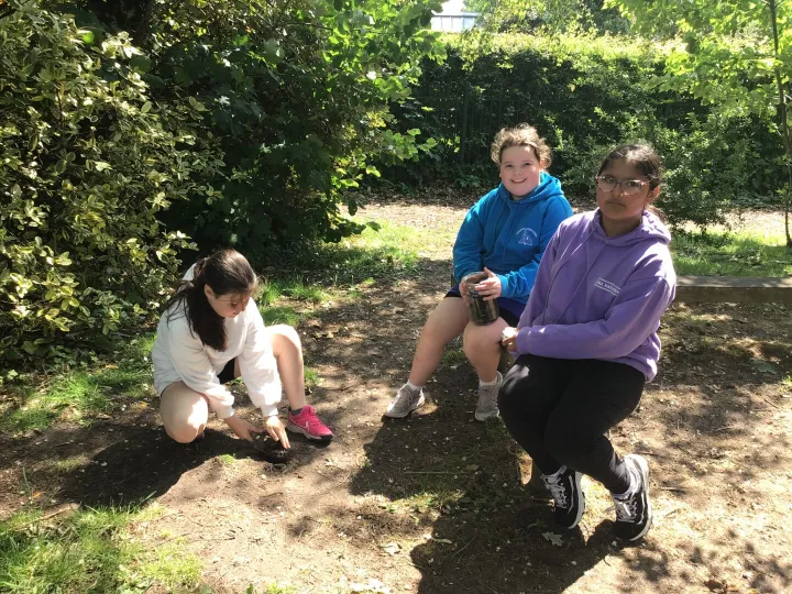Soil5