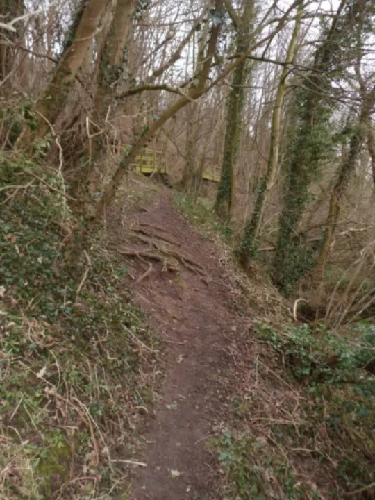 Footpath