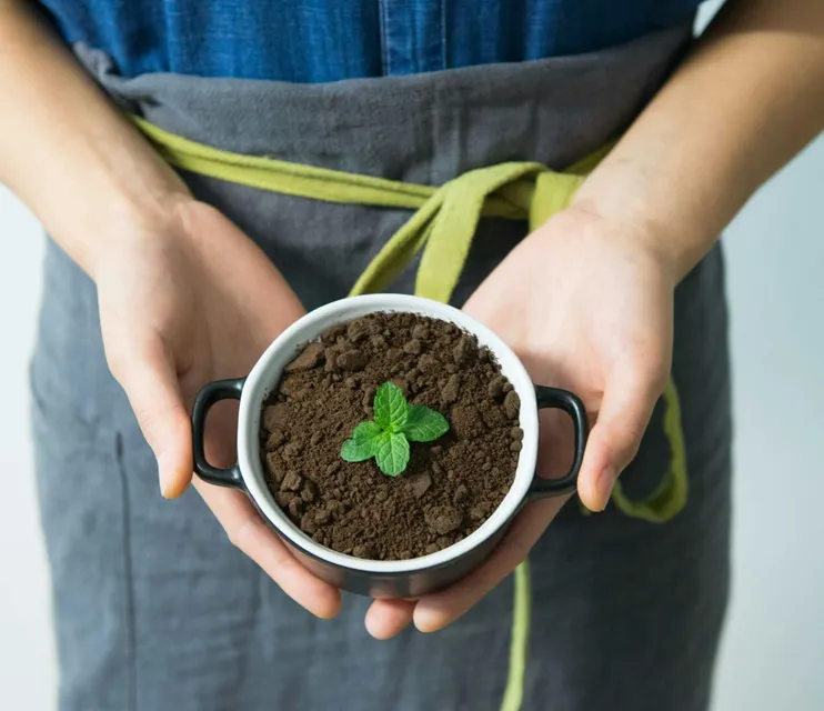 Close-up of hands holding a pot with soil and a
