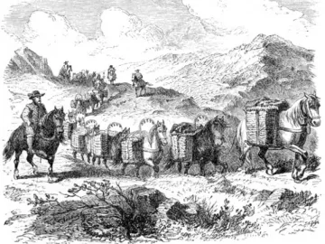 Packhorse Convoy