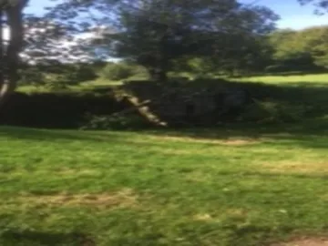 Peckforton Mill Two (2)