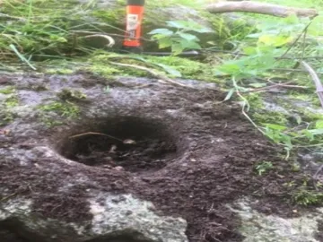 Peckforton Mill Two (5)