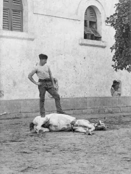 Pte Harry Jones And Horse Img468 Ed