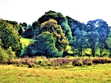 Fifty Shades of Audlem