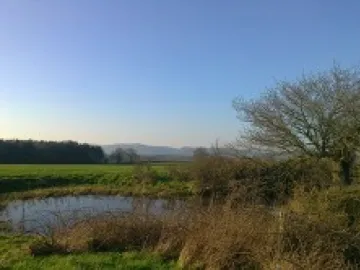 Bulkeley & Ridley   Countryside 1