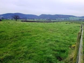 Bulkeley & Ridley   Countryside 3