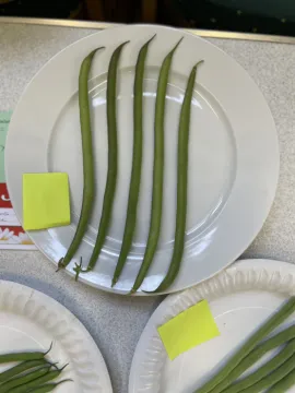 D500A8D9-4A32-4DA4-8208-CDF6F6756C07