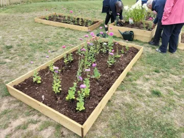 Gerald Dixon Community Garden 4