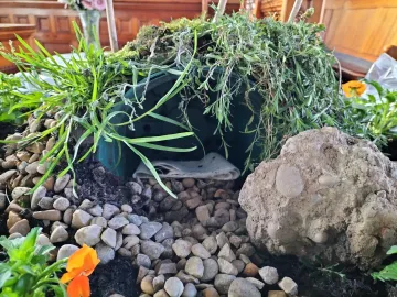 Alder Grove Easter 2025 2