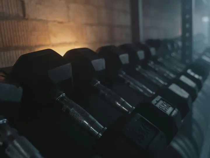 Close-up of dumbbells arranged on a rack in a