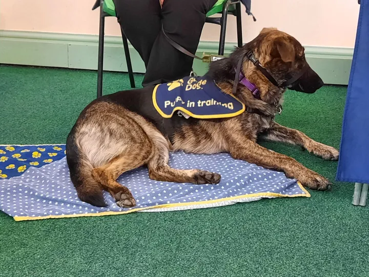 Guide Dogs Talk 3