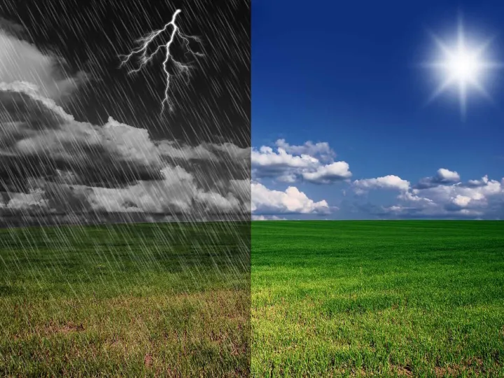 weather