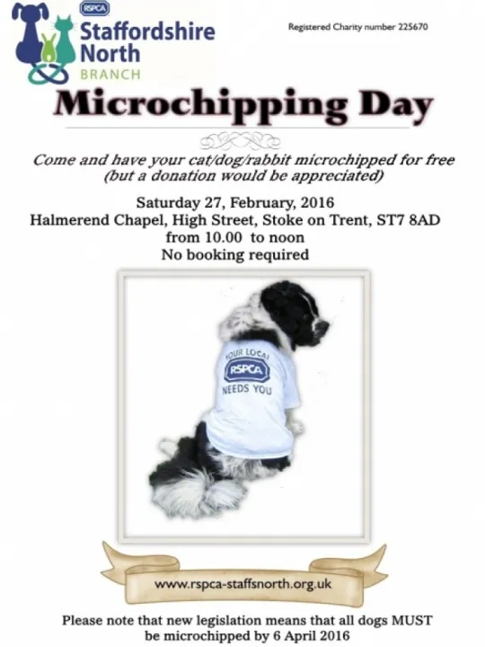 Microchipping Day Halmer End 27-02-16