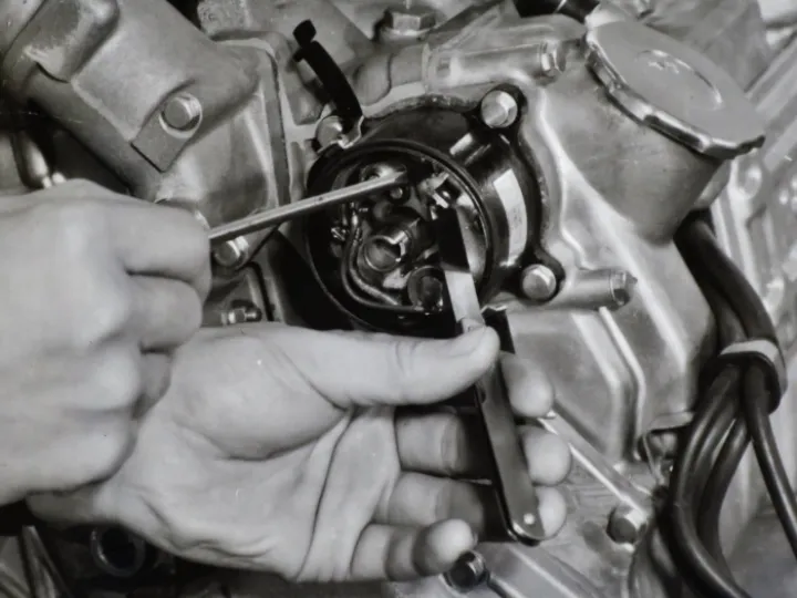 12604652 170520579983482 1378661662248394372 o