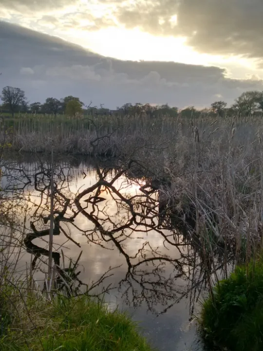 Img_20160425_194357590_hdr (1)