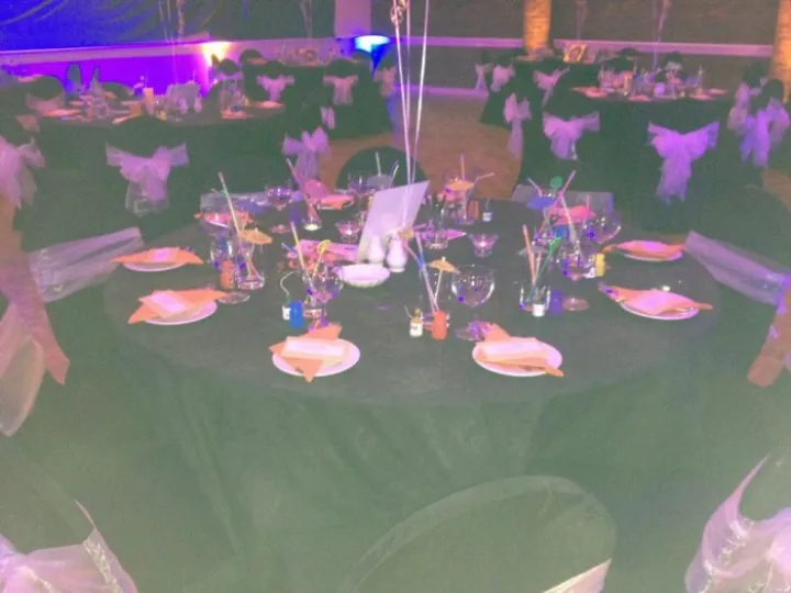 Party at TCC (2) May 2016