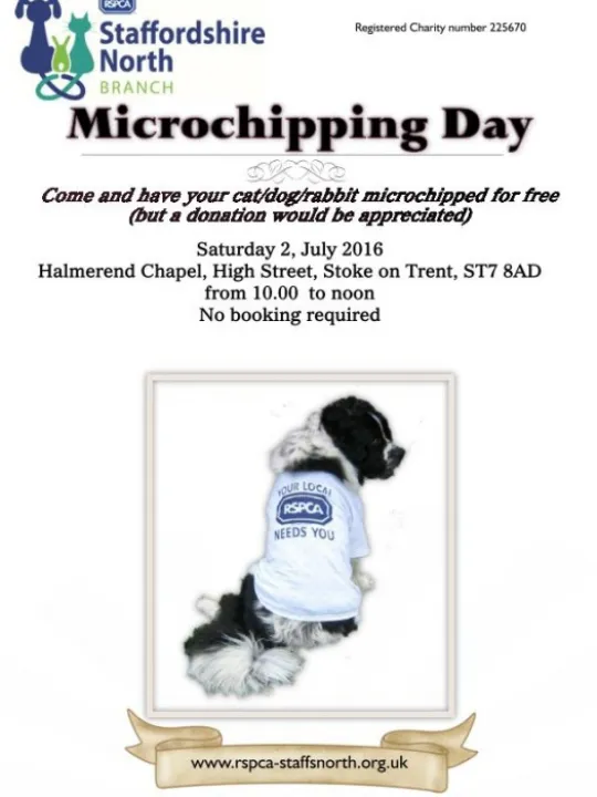 Microchipping dayhalmerendnew_160702_page_001
