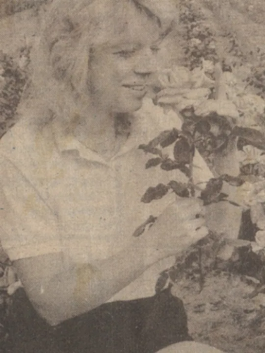 Lincoln Cathedral Rose2