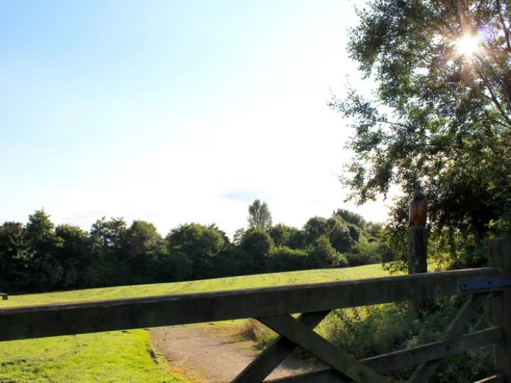 Last Import &ndash; 20 of 20